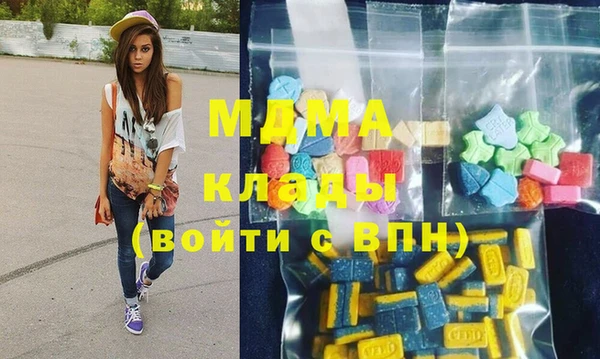 индика Пестово