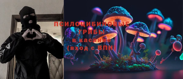 мяу мяу мука Белокуриха