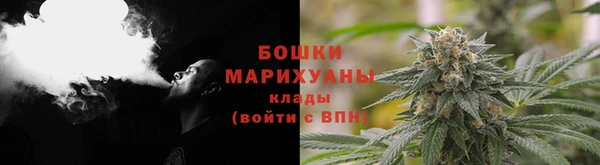 мяу мяу мука Белокуриха