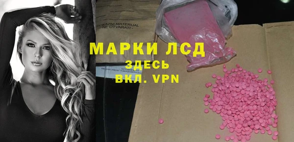 индика Пестово