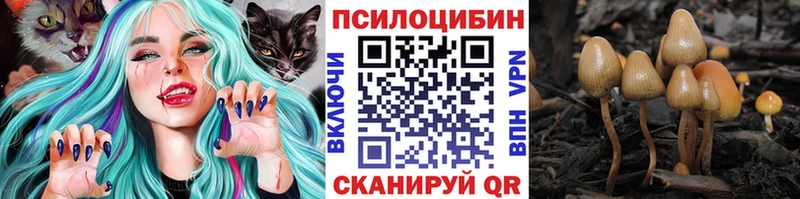 Псилоцибиновые грибы Magic Shrooms  Полтавская 