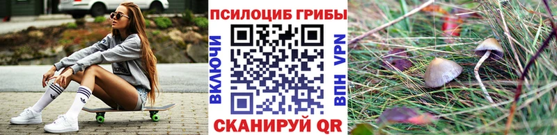 Галлюциногенные грибы мицелий Полтавская